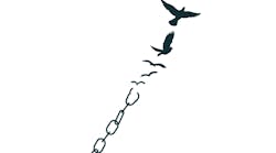 birds flying away from chains birds flying away from chains