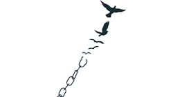 birds flying away from chains birds flying away from chains