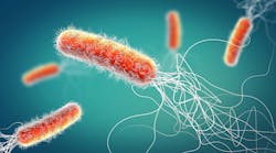 Pseudomonas aeruginosa and dental implant longevity Pseudomonas aeruginosa and dental implant longevity