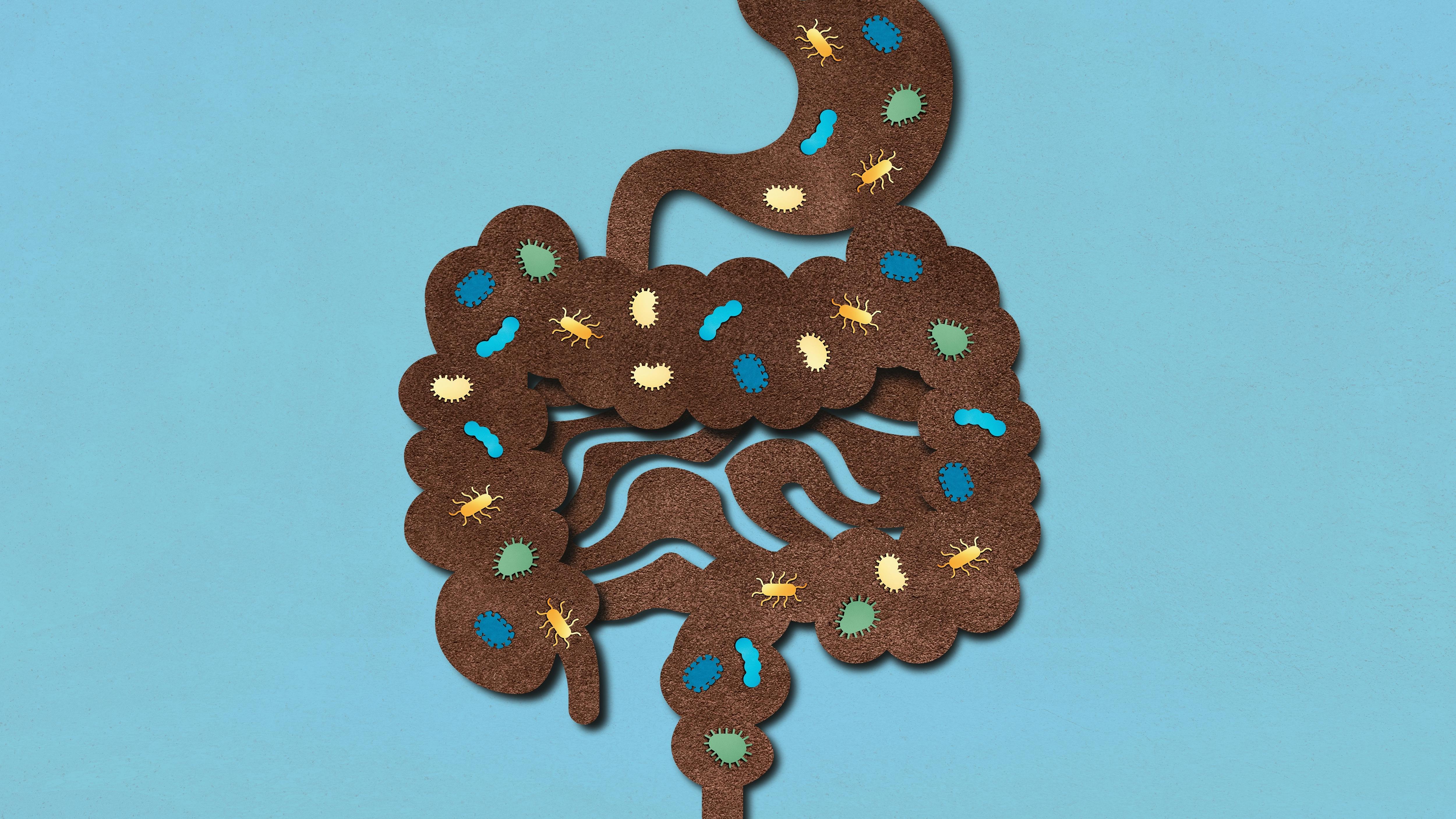 Postbiotics against the pathobionts: A new chapter