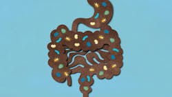 Postbiotics against the pathobionts: A new chapter Postbiotics against the pathobionts: A new chapter