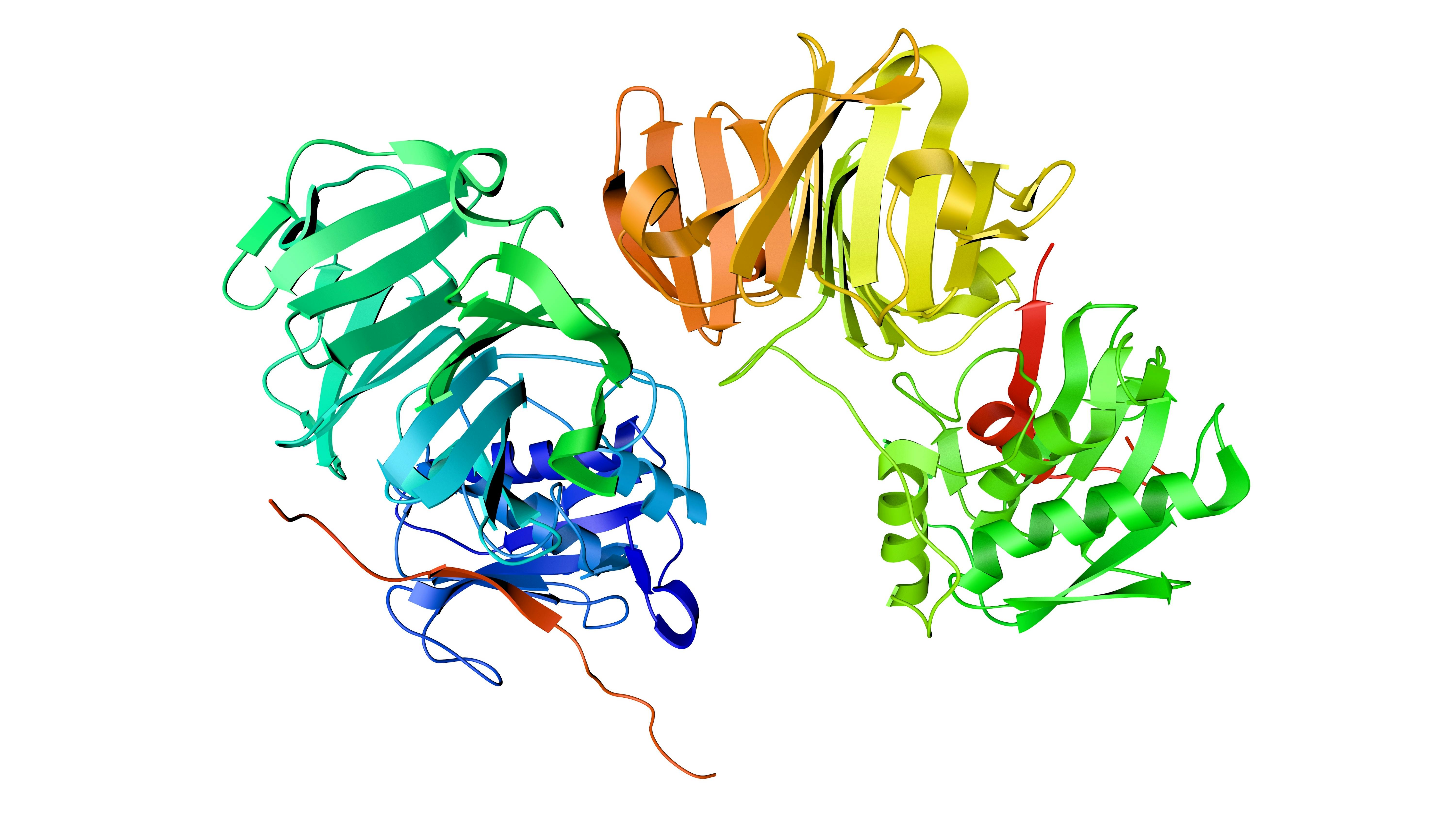 Crystal structure of human collagenase-3 (MMP-13)