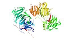 Crystal structure of human collagenase-3 (MMP-13) Crystal structure of human collagenase-3 (MMP-13)