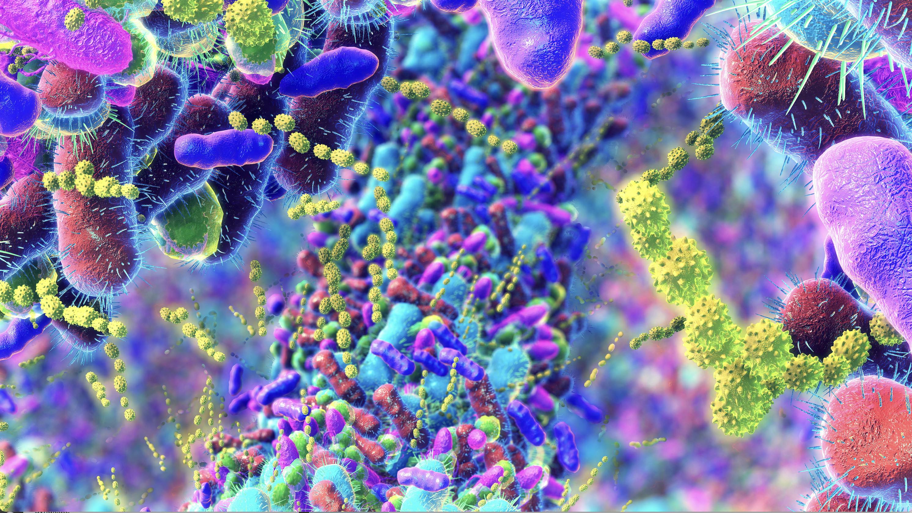 68bf0daeca4c8db755d68cbc Getty