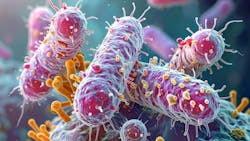 Eikenella corrodens (Ec) if often harmless but can cause trouble when the mucosal barrier is broken, or the host’s immune system is weakened. Eikenella corrodens (Ec) if often harmless but can cause trouble when the mucosal barrier is broken, or the host’s immune system is weakened.