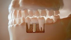 6908edac796570a1a7033f5b Gettyimages2159479175 6908edac796570a1a7033f5b Gettyimages2159479175