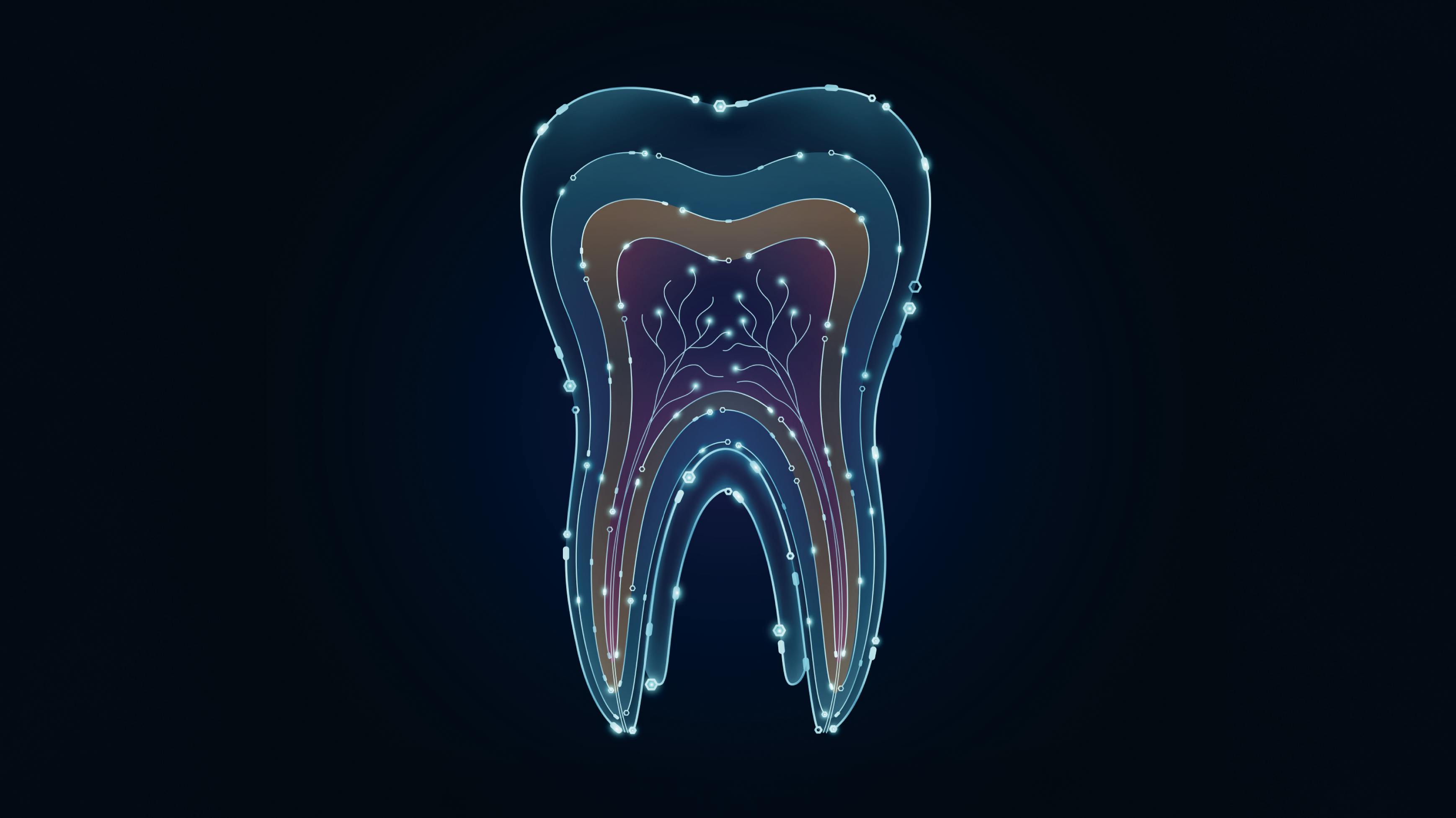 illustration of a tooth