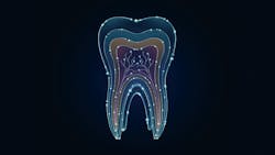 illustration of a tooth illustration of a tooth