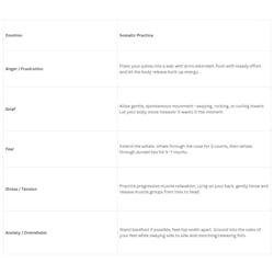 somatic exercises somatic exercises