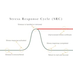 Stess response cycle Stess response cycle