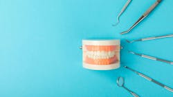 698113e8db4bf2690f2cb386 Gettyimages2217080735 698113e8db4bf2690f2cb386 Gettyimages2217080735