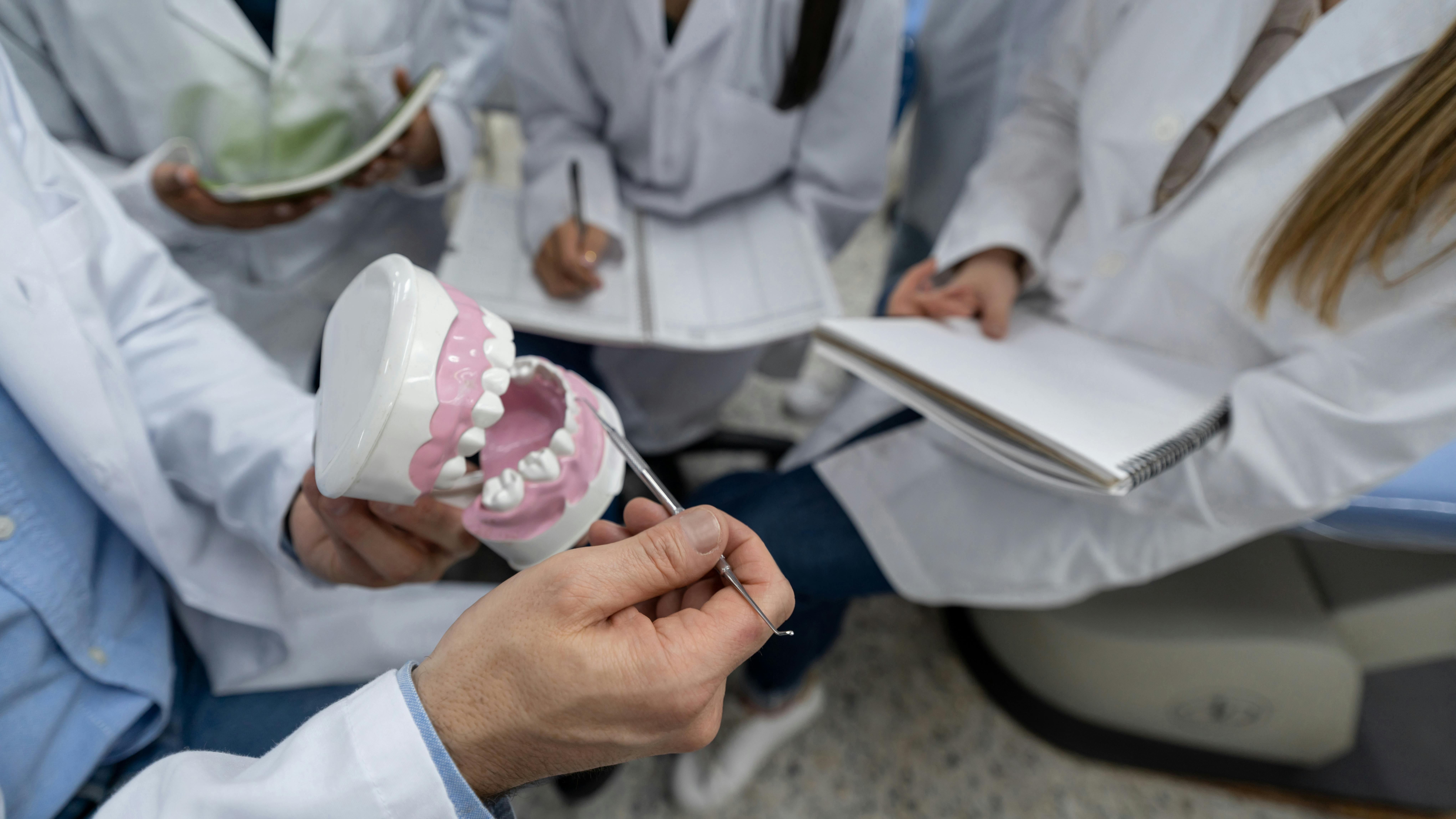 Teaching teeth