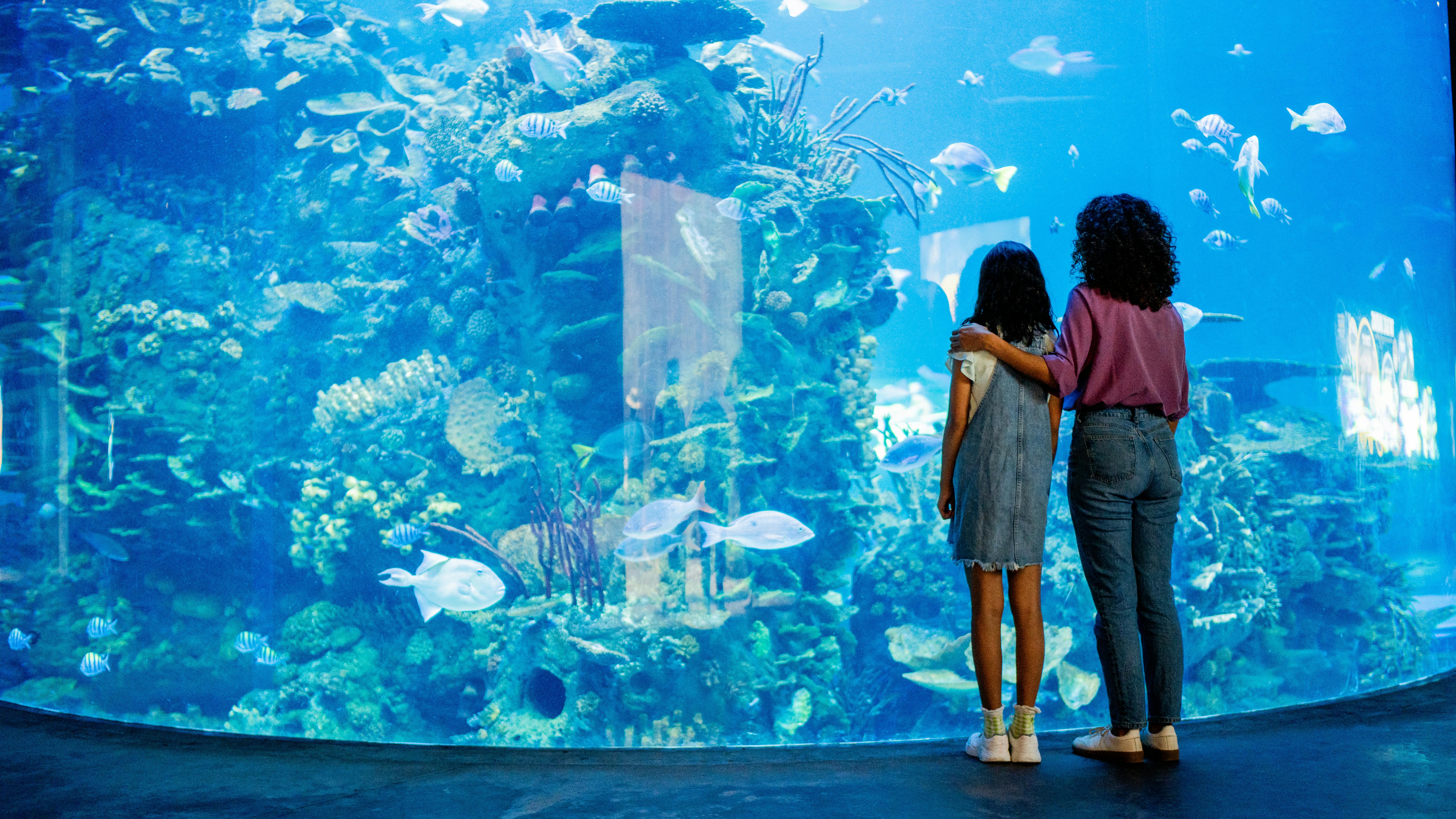 aquarium passes