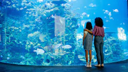 aquarium passes
