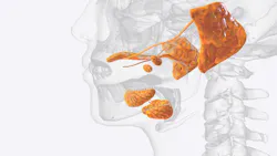 Alpha-synuclein in the salivary glands