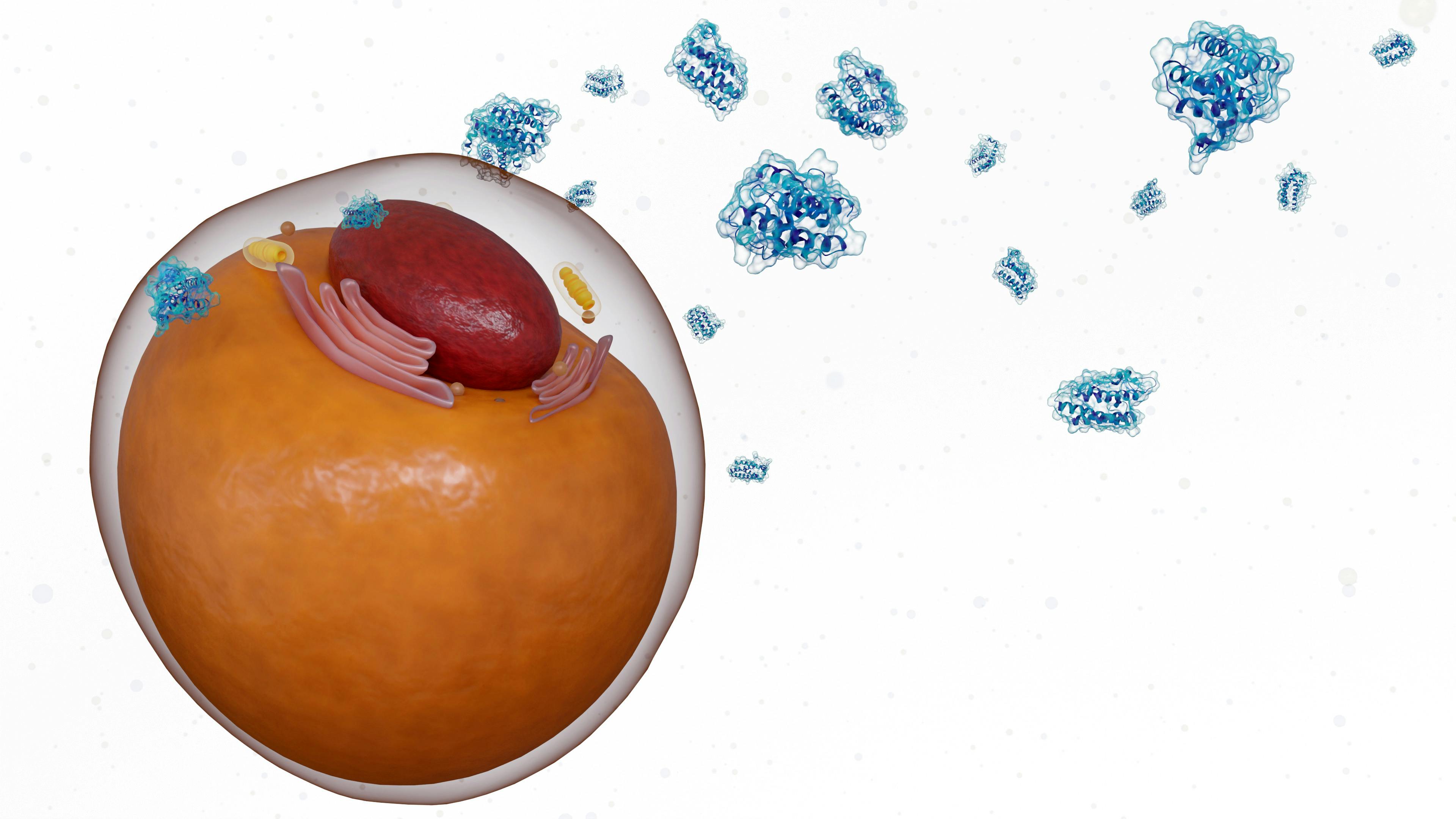 A 3d rendering of scattered leptin molecules and adipocyte or fat cell, illustrating their role in metabolism and energy regulation