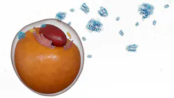 A 3d rendering of scattered leptin molecules and adipocyte or fat cell, illustrating their role in metabolism and energy regulation
