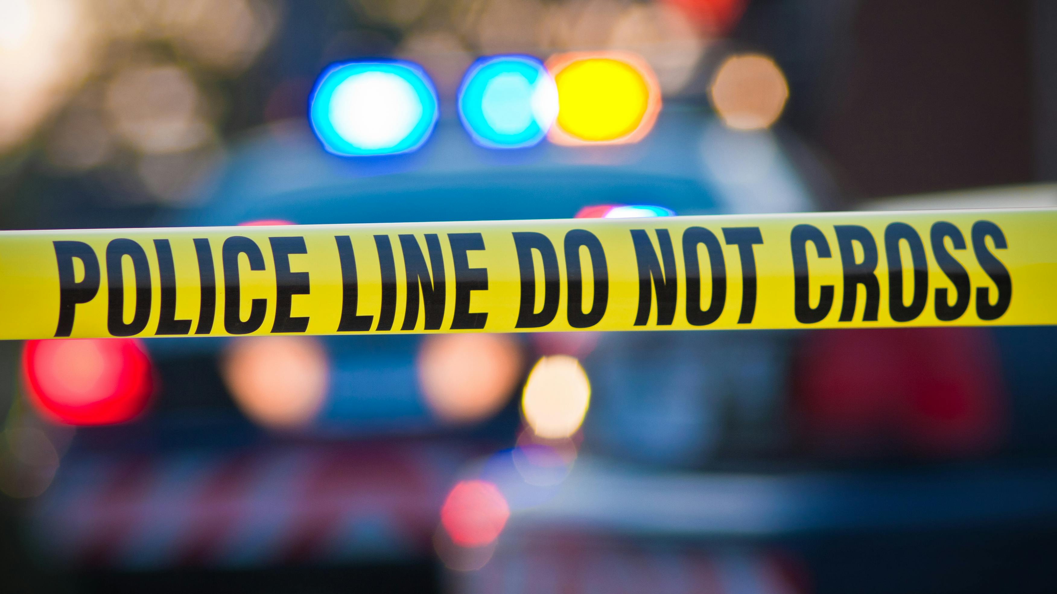forensic dentistry