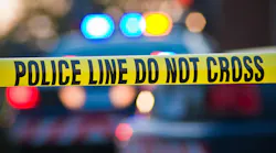 forensic dentistry