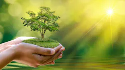 A person's hand outstretched cupping a tree in their palm.