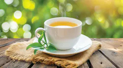 shutterstock_2461982285