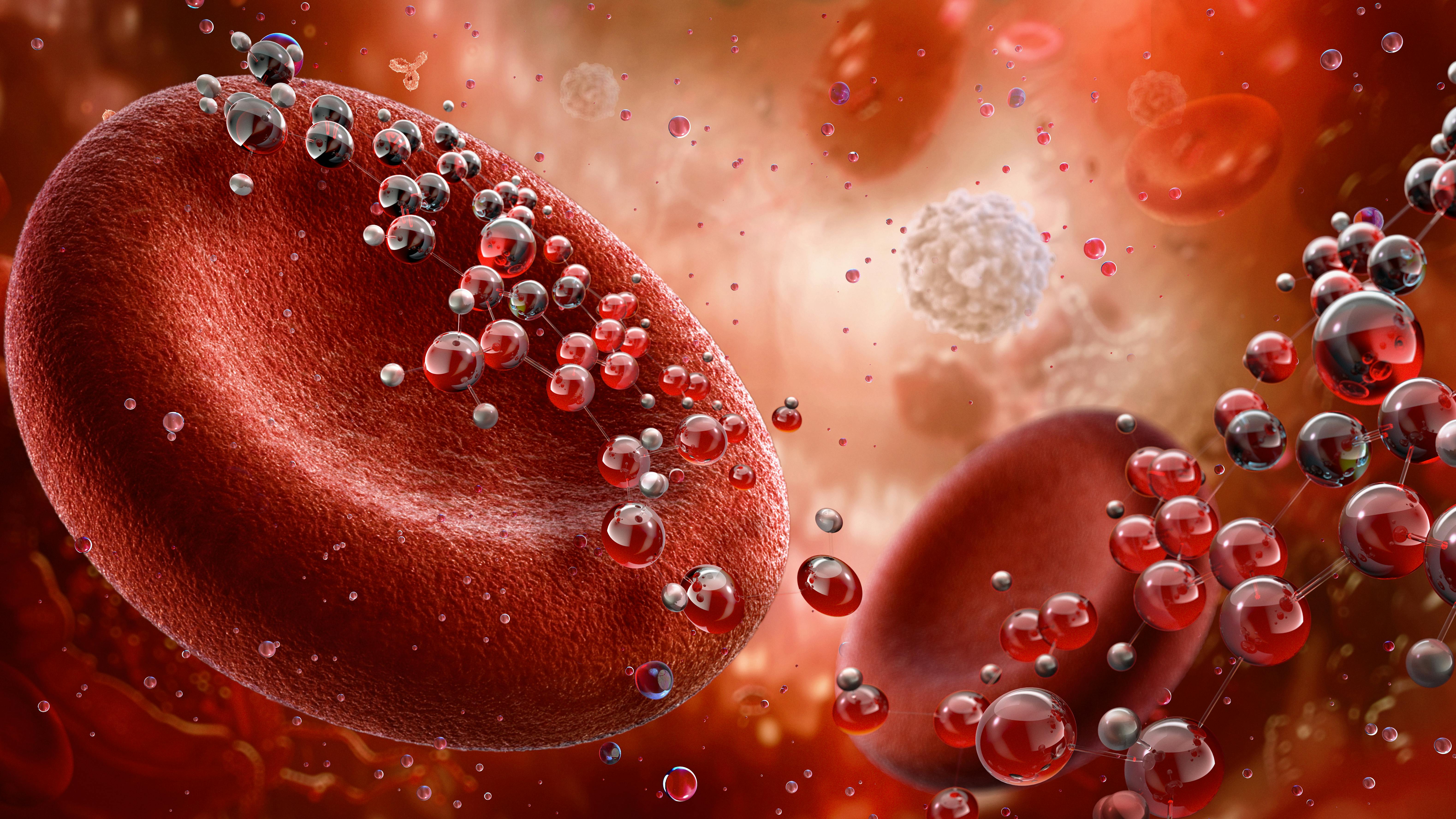 close-up of red blood cells