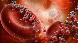 close-up of red blood cells