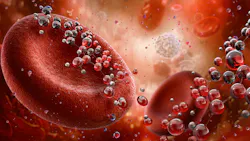 close-up of red blood cells